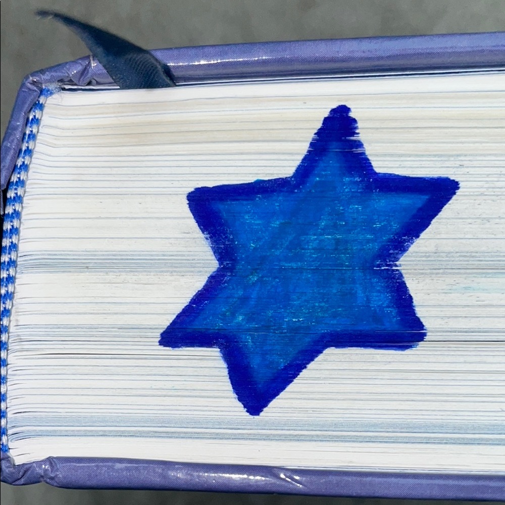 Complete Jewish Bible by David H. Stern - Picture 4 of 4